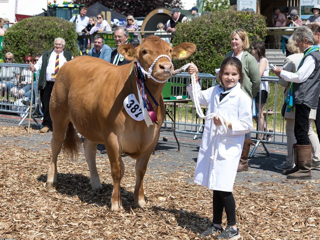 ការពិភាក្សាអំពីជើងឯកនិងភាពចម្រុះក្នុងការប្រកួត
